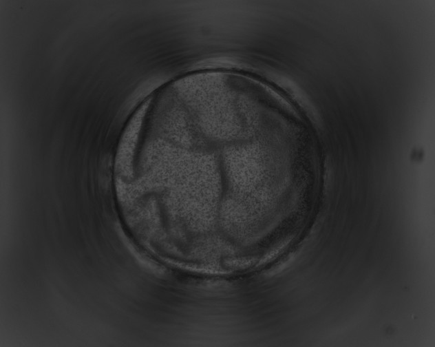 X0000091851233200710031013