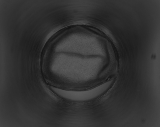 X0000091851234200710031013