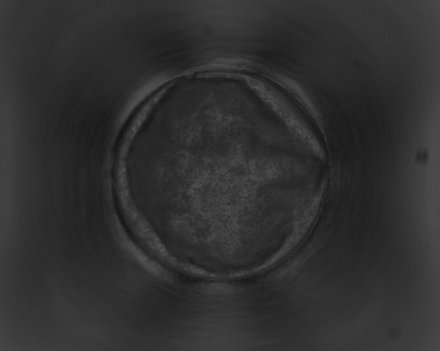 X0000091851235200710031013