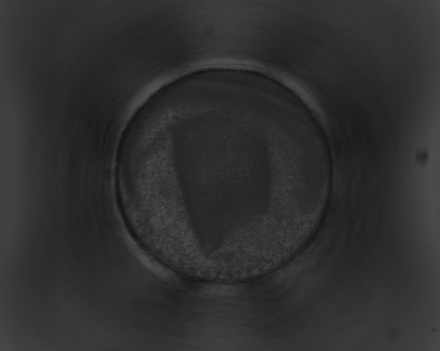 X0000091851237200710031013