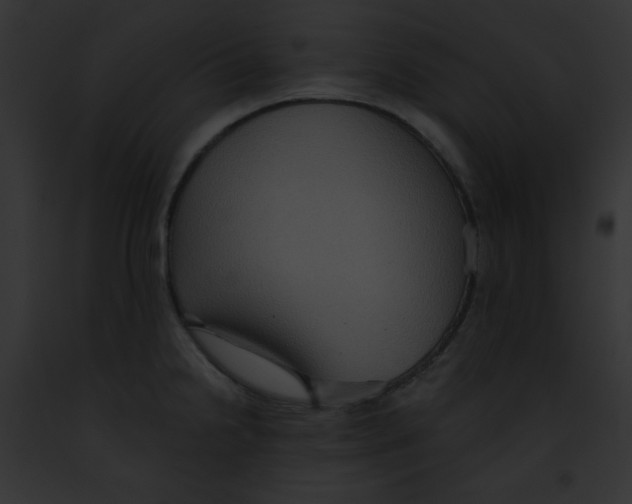 X0000091851238200710031013