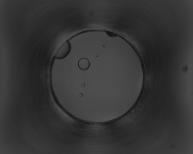 X0000091851239200710031013