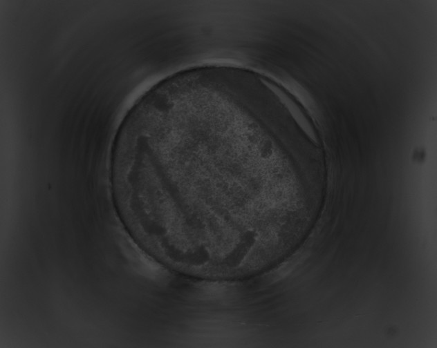 X0000091851240200710031013