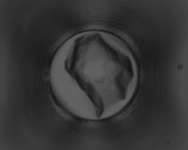 X0000091851241200710031013