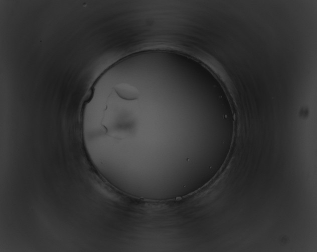 X0000091851242200710031013