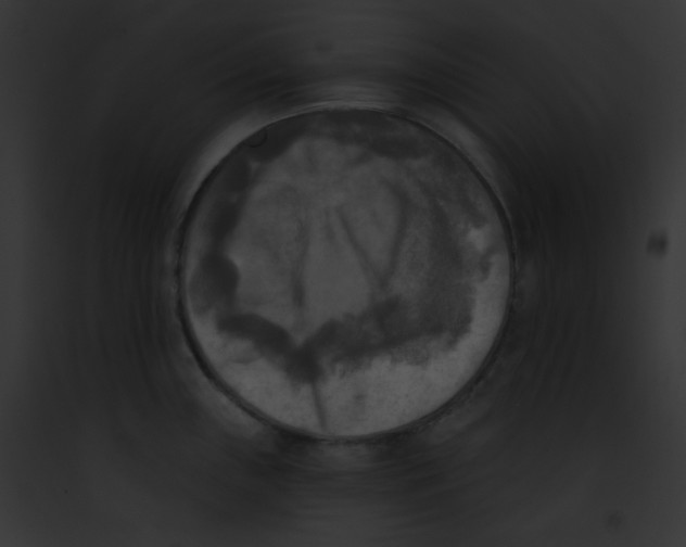 X0000091851243200710031013