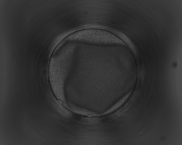 X0000091851244200710031013