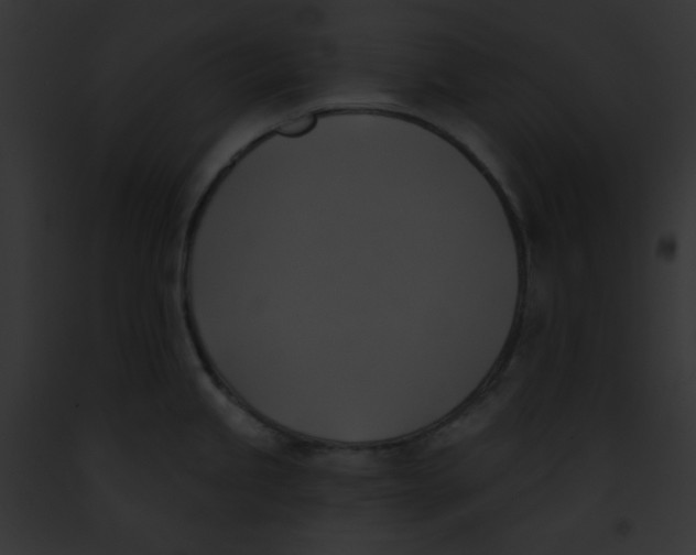 X0000091851245200710031013