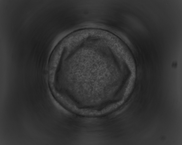 X0000091851247200710031013