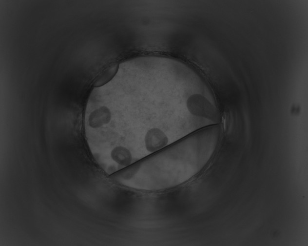 X0000091851251200710031013