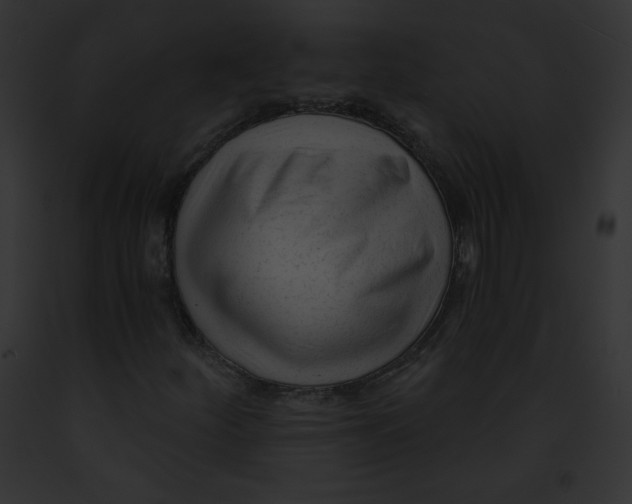 X0000091851252200710031013