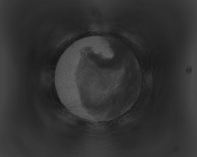 X0000091851254200710031013