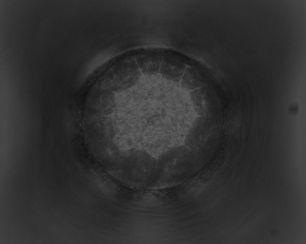 X0000091851255200710031013