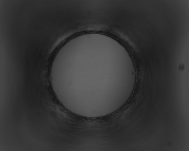 X0000091851256200710031013