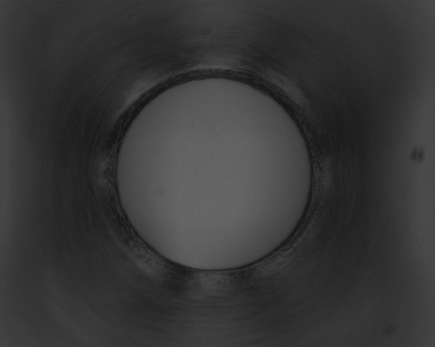 X0000091851258200710031013