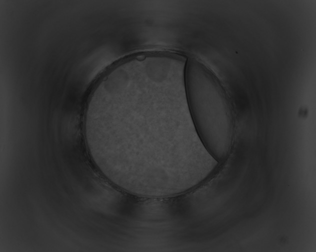 X0000091851259200710031013