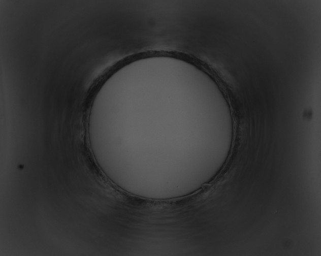 X0000091851262200710031013