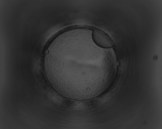 X0000091851263200710031013