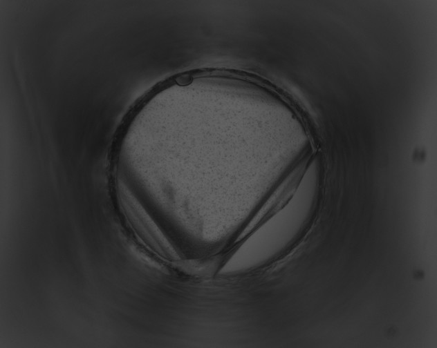 X0000091851264200710031013