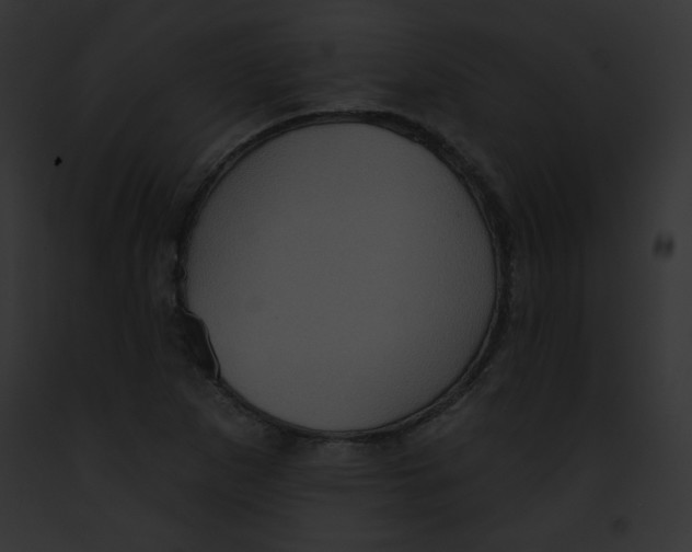 X0000091851265200710031013
