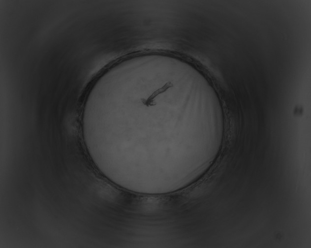 X0000091851266200710031013