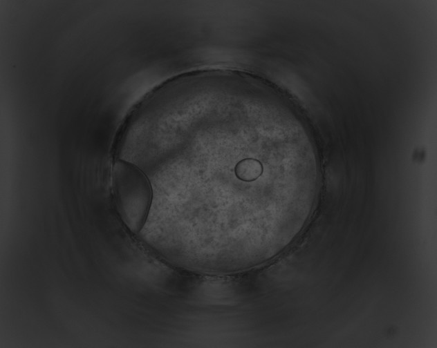 X0000091851267200710031013