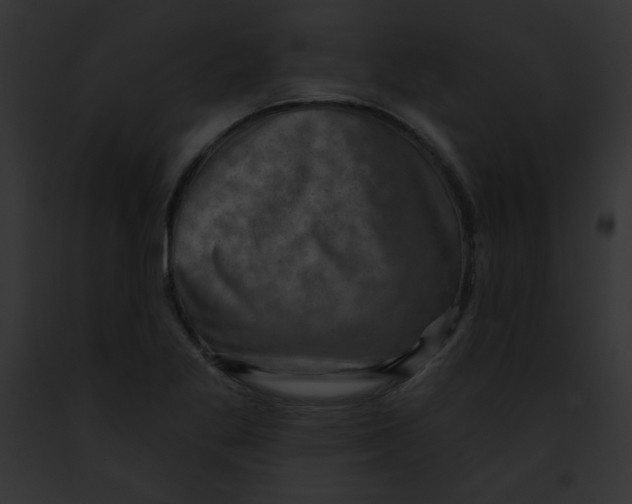 X0000091851269200710031013