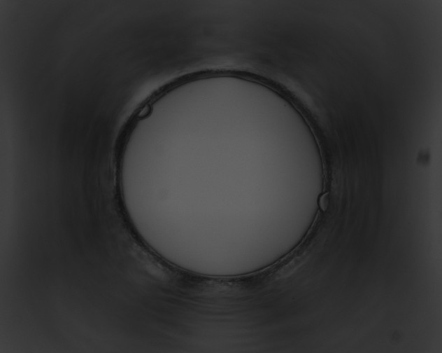 X0000091851270200710031013