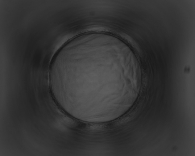 X0000091851274200710031012