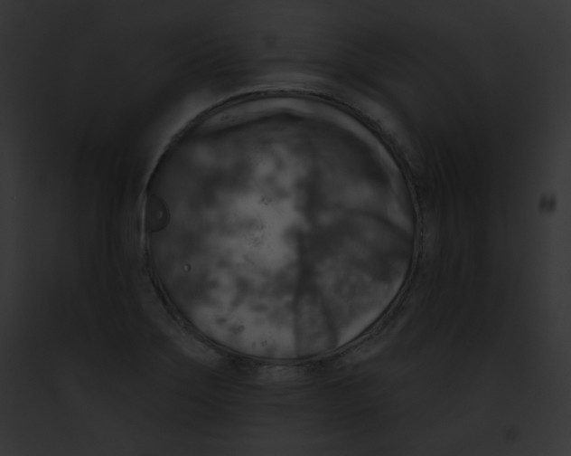 X0000091851275200710031012