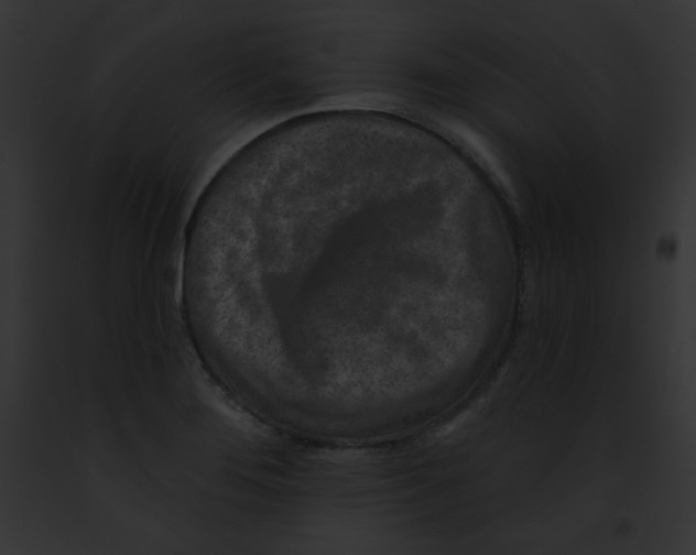 X0000091851276200710031012