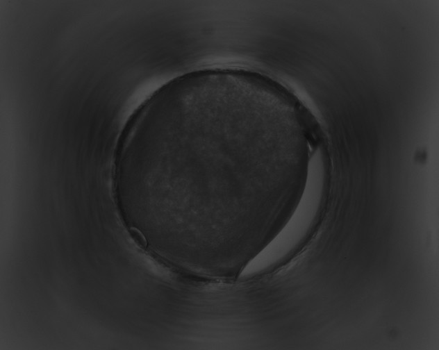 X0000091851277200710031012