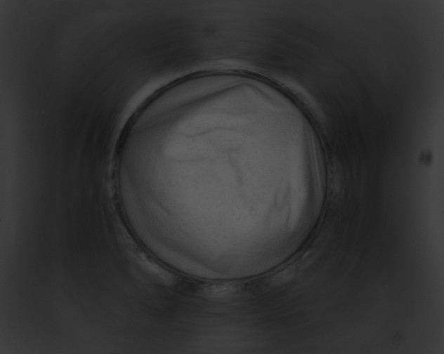 X0000091851278200710031012