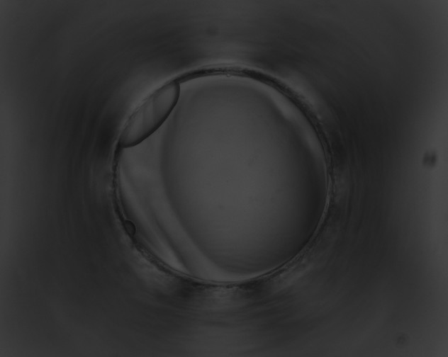 X0000091851279200710031012