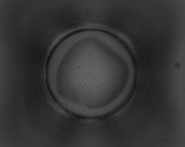 X0000091851280200710031012