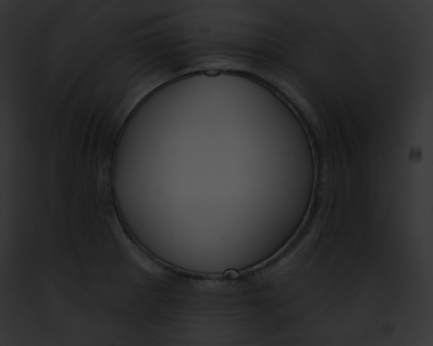 X0000091851281200710031012