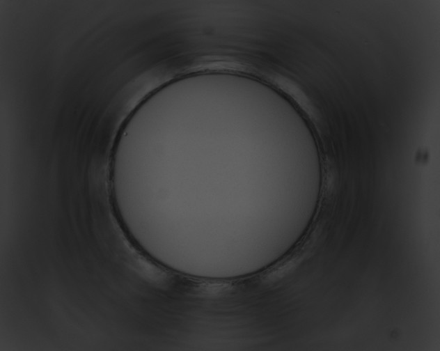 X0000091851282200710031012