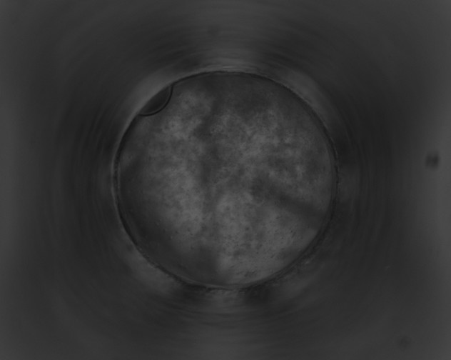 X0000091851283200710031012