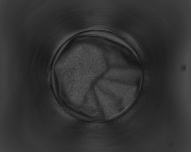 X0000091851284200710031012