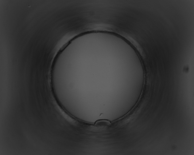 X0000091851285200710031012