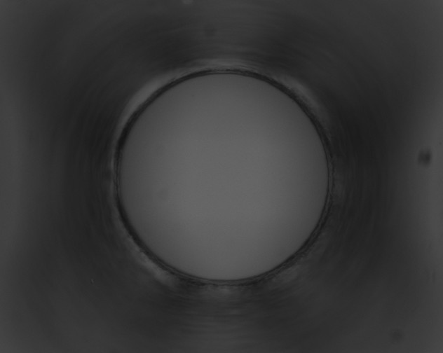X0000091851286200710031012