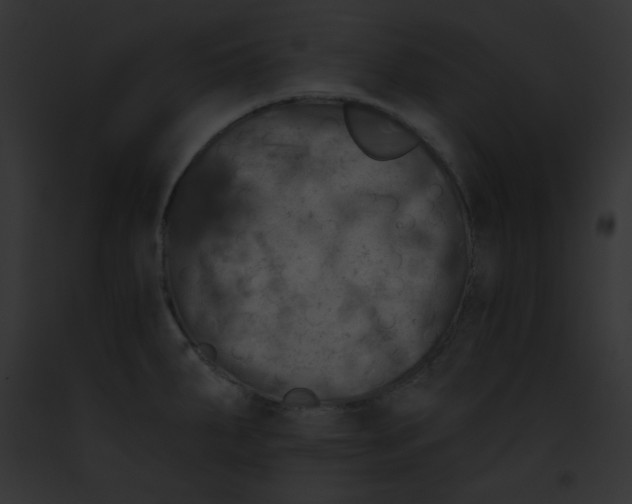 X0000091851287200710031012