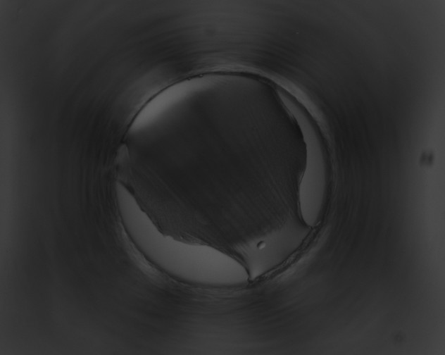 X0000091851289200710031012