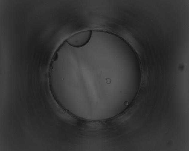X0000091851291200710031012