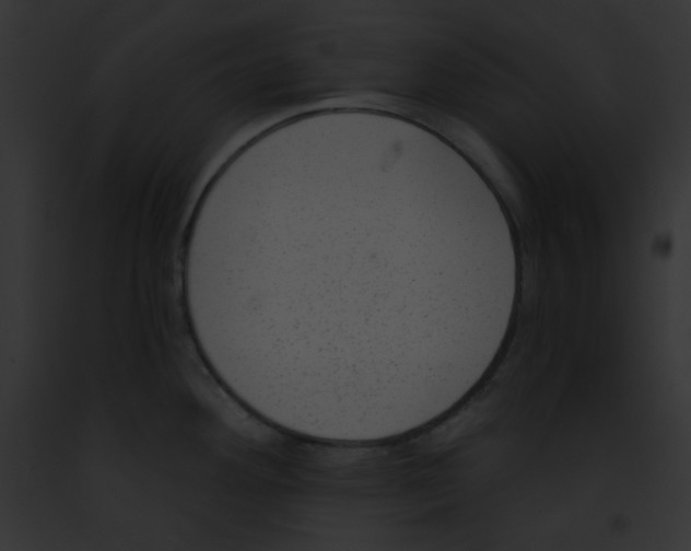 X0000091851292200710031012
