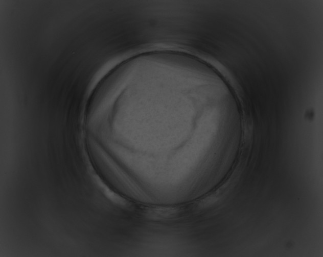 X0000091851294200710031012