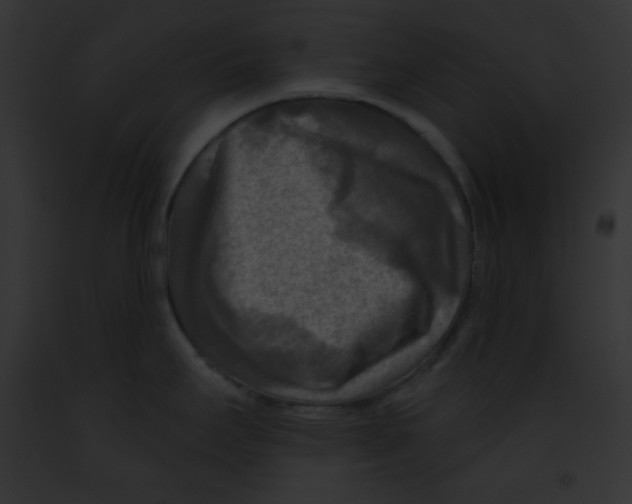 X0000091851295200710031012