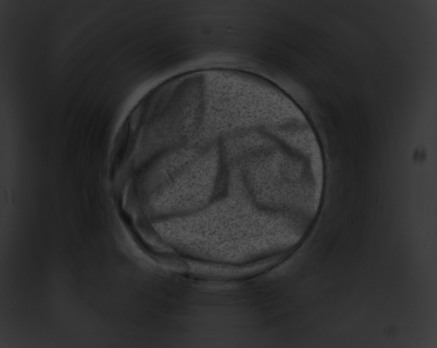 X0000091851296200710031012