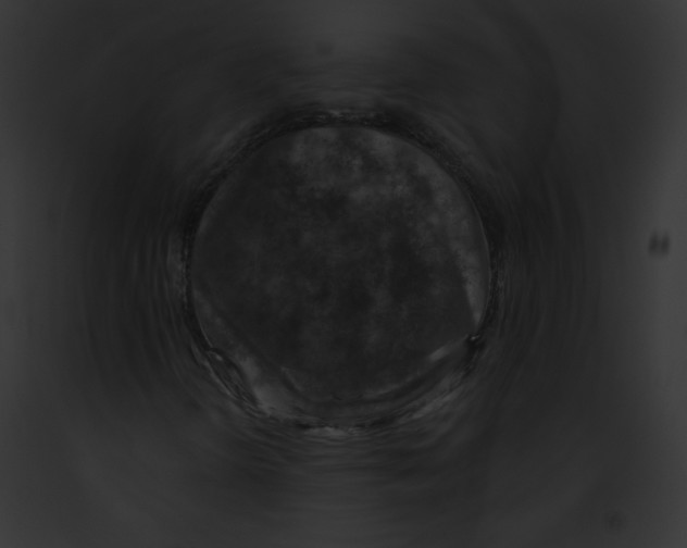X0000091851298200710031011