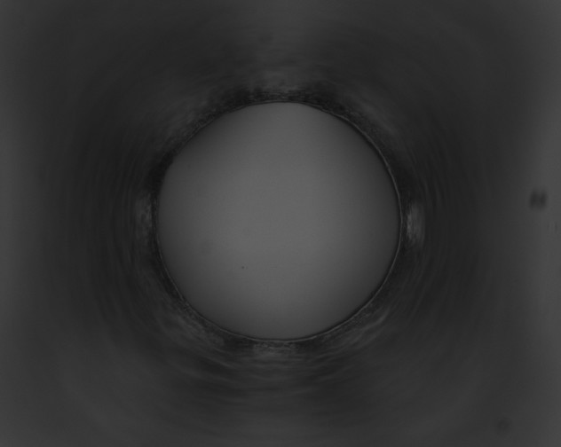 X0000091851299200710031011